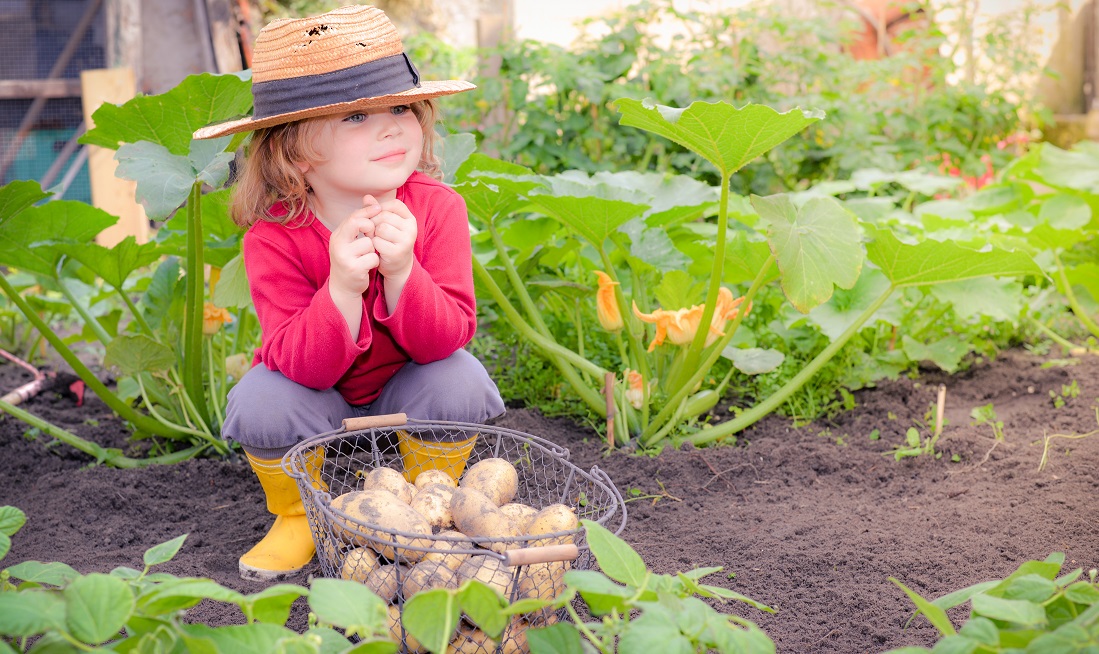 Little girl in a garden.